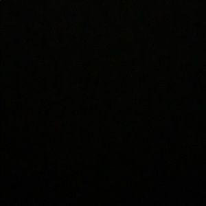 Meet your Posher, Dylan